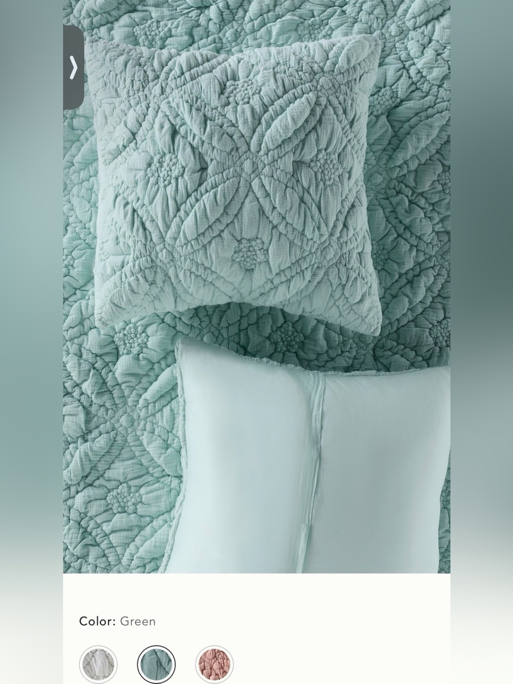 New Anthropologie everly cotton floral euro sham textured mint green blue cover